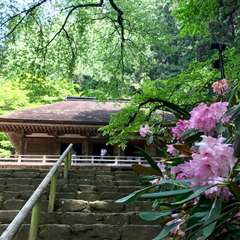 投稿日:2017年5月14日 写真