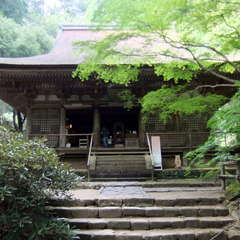 投稿日:2019年8月25日 写真