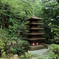 投稿日:2019年8月25日 写真