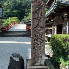 投稿日:2019年8月25日 写真