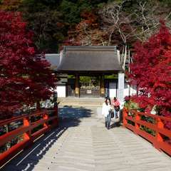 投稿日:2016年11月23日 写真