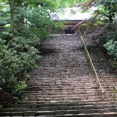 投稿日:2016年6月19日 写真