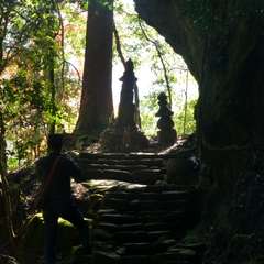 投稿日:2016年11月23日 写真