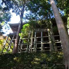 投稿日:2016年11月23日 写真