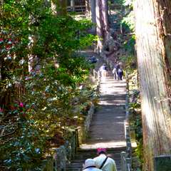 投稿日:2016年11月23日 写真