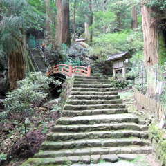 投稿日:2019年8月25日 写真