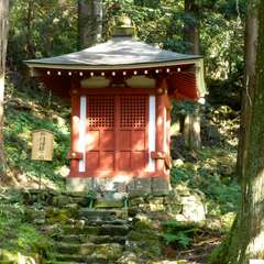 投稿日:2016年11月23日 写真