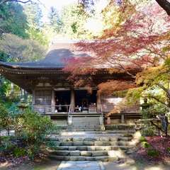 投稿日:2016年11月23日 写真