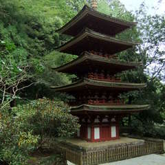 投稿日:2019年8月25日 写真