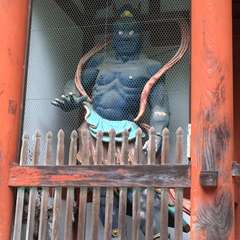 投稿日:2016年6月19日 写真