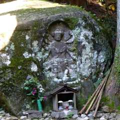 投稿日:2016年11月23日 写真