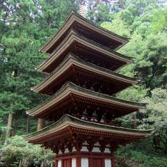 投稿日:2019年8月25日 写真