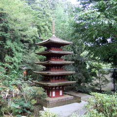 投稿日:2019年8月25日 写真