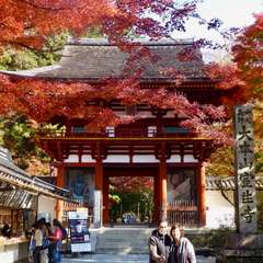 投稿日:2016年11月23日 写真