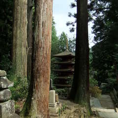 投稿日:2019年8月25日 写真