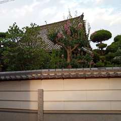 お寺の本堂 外から(投稿日:2020年8月12日) 写真