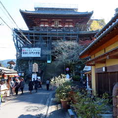 投稿日:2019年11月24日 写真