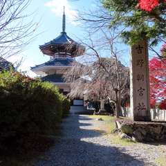 投稿日:2019年12月3日 写真