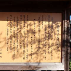 投稿日:2019年12月3日 写真