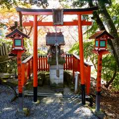 投稿日:2016年12月7日 写真