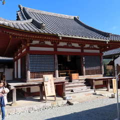 投稿日:2019年12月2日 写真