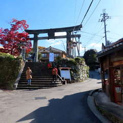 投稿日:2019年12月2日 写真