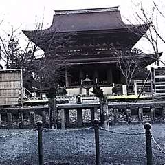 投稿日:2016年2月26日 写真