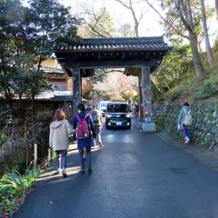 投稿日:2019年12月2日 写真
