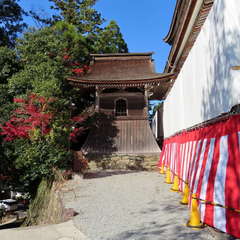 投稿日:2019年12月3日 写真