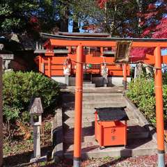 投稿日:2019年12月3日 写真