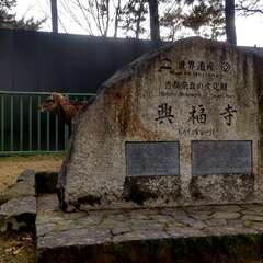 出張にて(投稿日:2025年12月14日) 写真