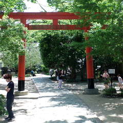 投稿日:2019年6月9日 写真