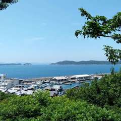 投稿日:2019年6月9日 写真