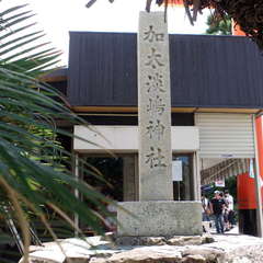 投稿日:2019年6月9日 写真