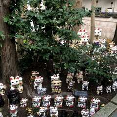 投稿日:2025年1月27日 写真