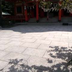 投稿日:2017年5月22日 写真