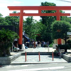 投稿日:2019年6月9日 写真