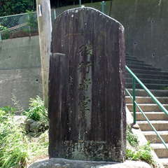 投稿日:2019年6月9日 写真