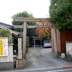 朝椋神社(投稿日:2025年10月26日) 写真