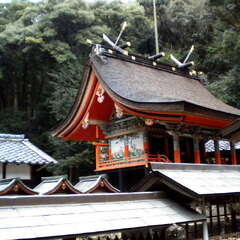 且来八幡神社(投稿日:2025年7月9日) 写真
