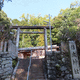 信太神社