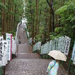 投稿日:2019年5月24日 写真