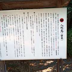 投稿日:2020年8月17日 写真