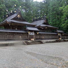 投稿日:2019年7月13日 写真