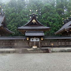 投稿日:2019年7月13日 写真