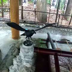 投稿日:2024年8月21日 写真