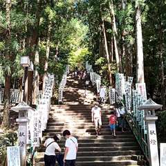 投稿日:2020年8月17日 写真