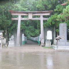 投稿日:2019年7月13日 写真