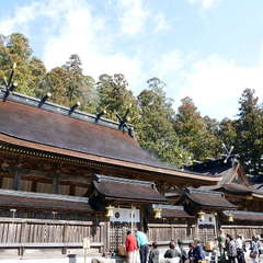 投稿日:2019年3月23日 写真