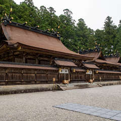 投稿日:2018年6月1日 写真